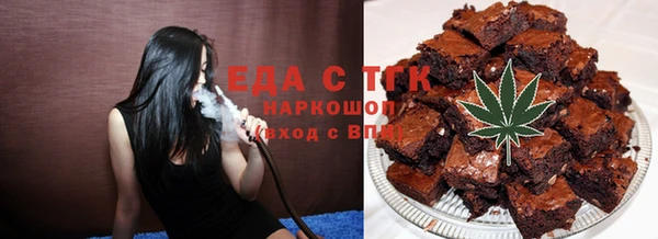 индика Абинск