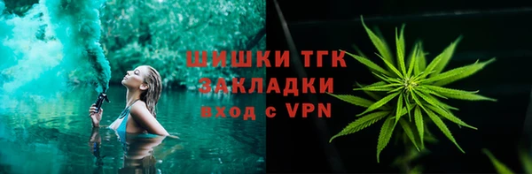 индика Абинск