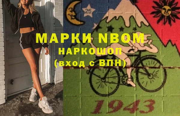 индика Абинск