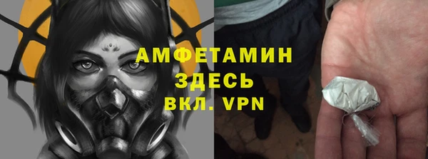 твердый Протвино