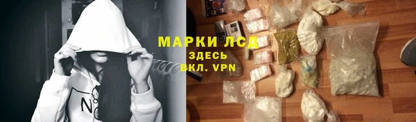 индика Абинск