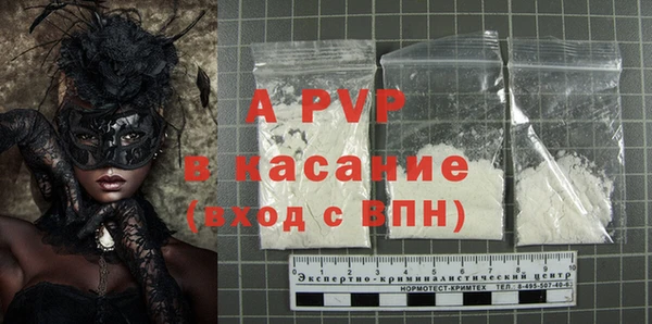 индика Абинск