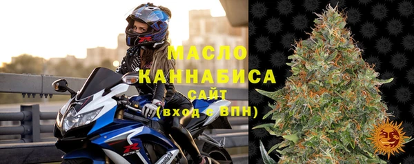 индика Абинск