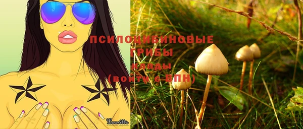 индика Абинск