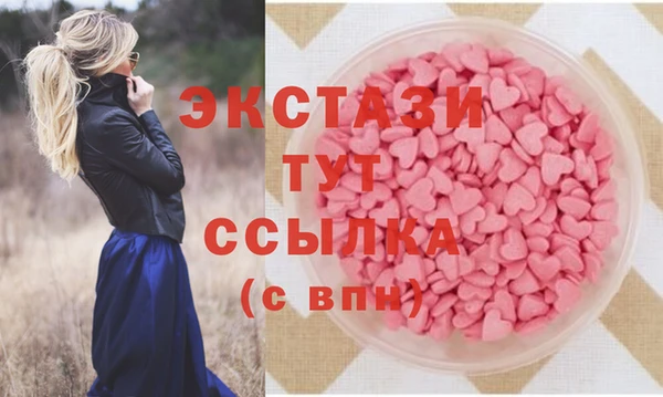 индика Абинск