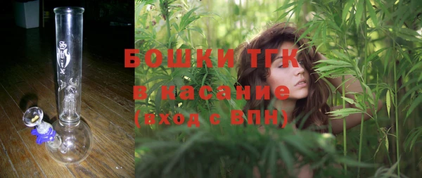 индика Абинск