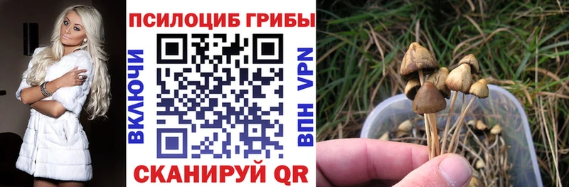 это официальный сайт  Грязи  Галлюциногенные грибы прущие грибы  блэк спрут ONION 